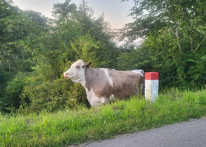 New With Sea View And * Allinge-Sandvig